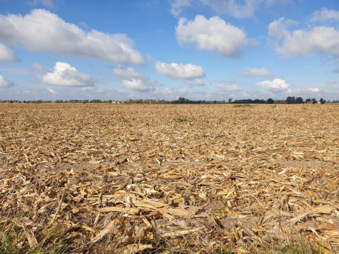 Foto de un campo seco.