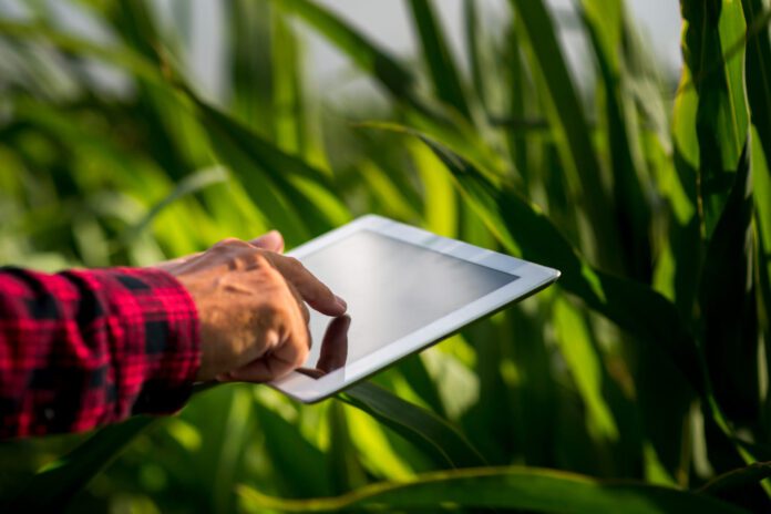 Hombre usando tablet en el campo.