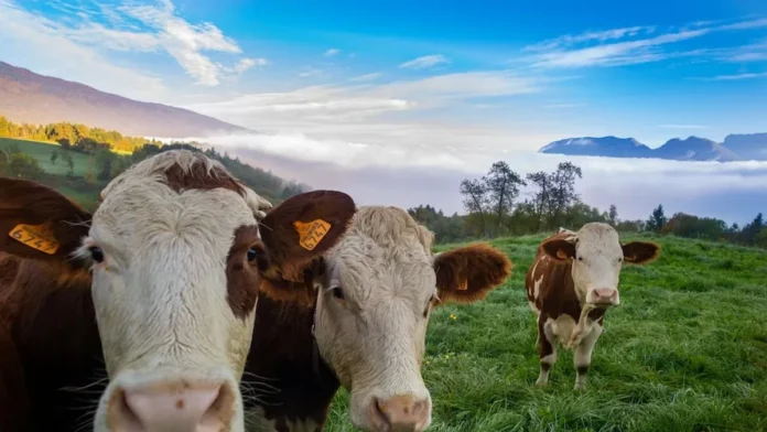 Sociedad Rural del Oeste Argentino