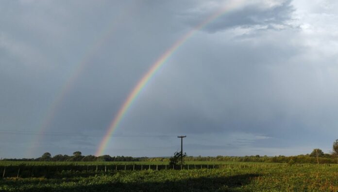 Lluvias