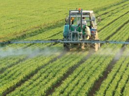 Productores agrícolas